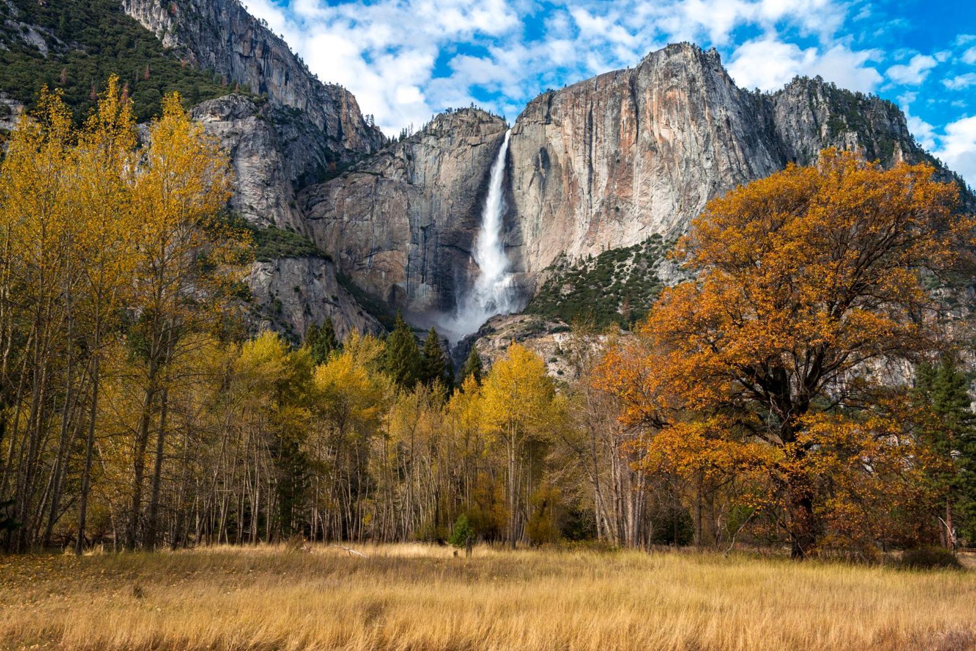 הוילה אוקהורסט High End A-Frame - Hot Tub - Awesome Views - Yosemite - Electric Vehicle Friendly - Sleeps 10 מראה חיצוני תמונה